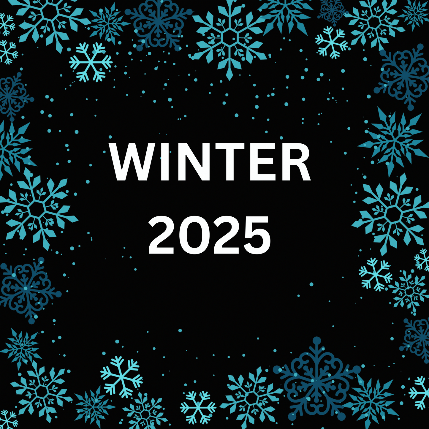 Winter 2025 graphic tee