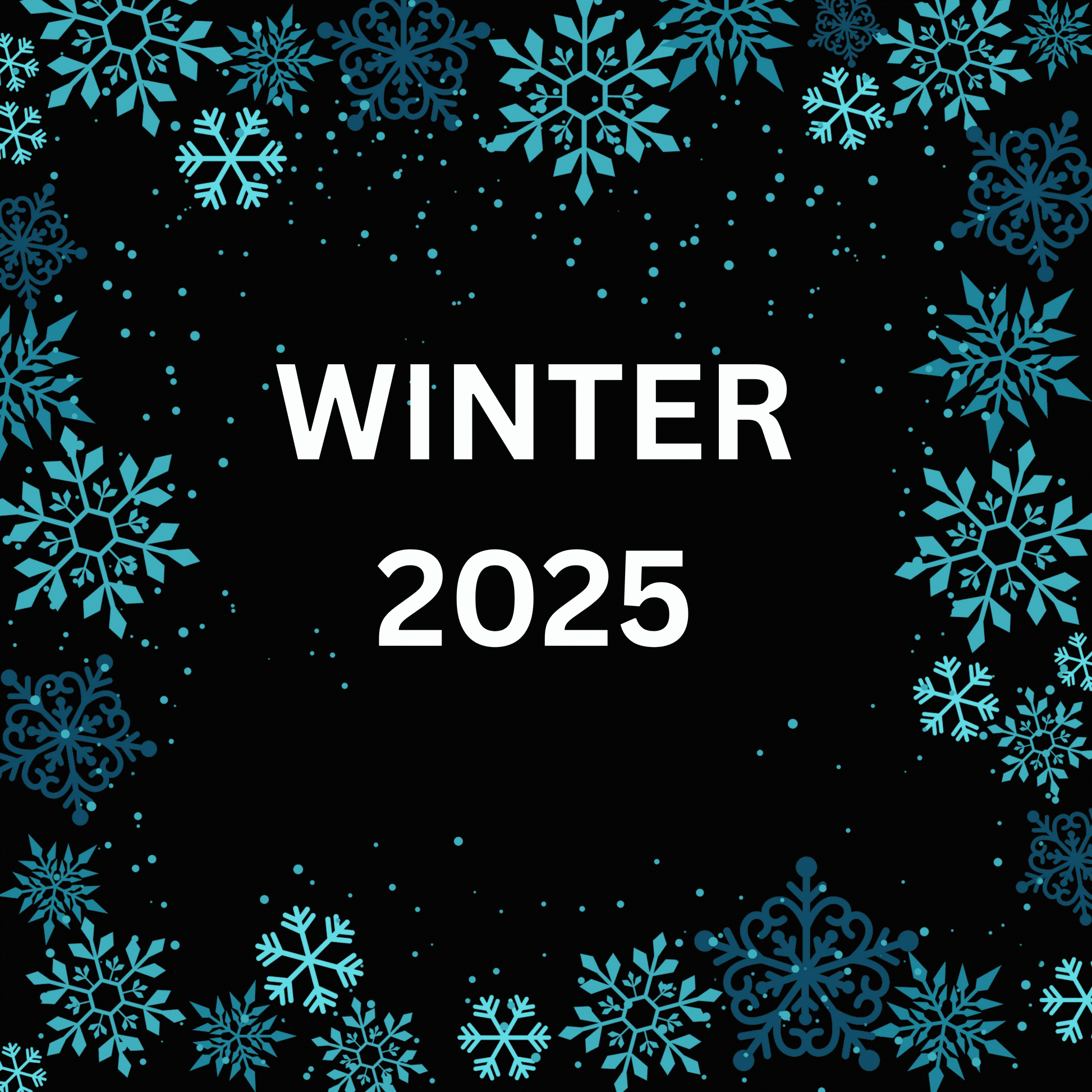 Winter 2025 graphic tee