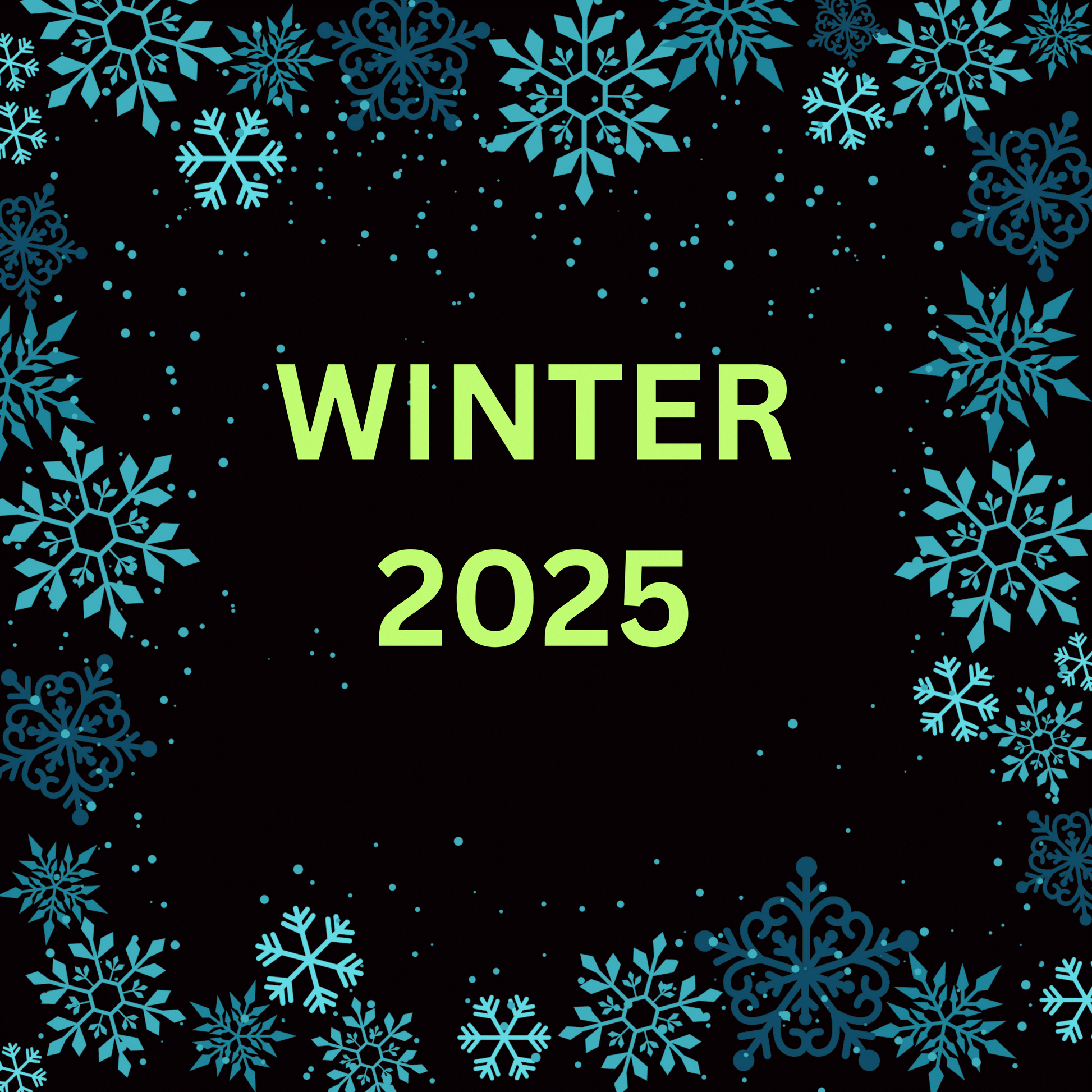 Winter 2025 graphic hoodie