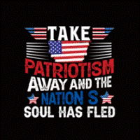 Southern Heritage patriotic graphic tee
